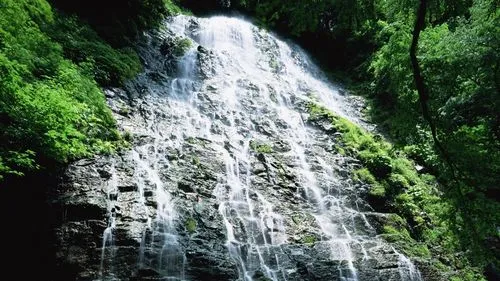 独特高端